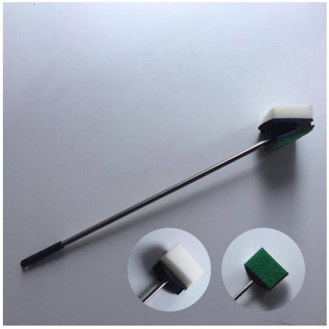 Cây cọ rêu bể cá thủy sinh, cay co reu be ca thuy sinh