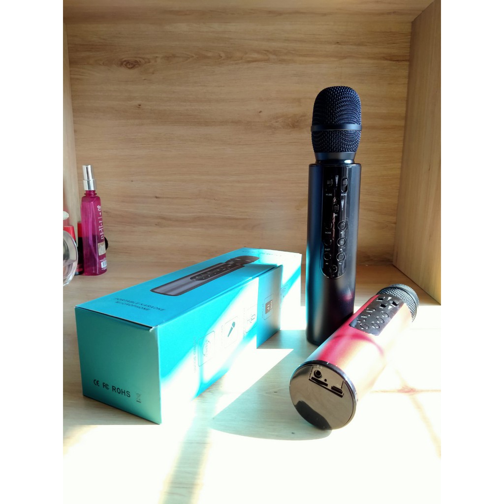 Micro Karaoke Loa Kép K3