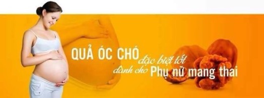 Quả óc chó Mỹ