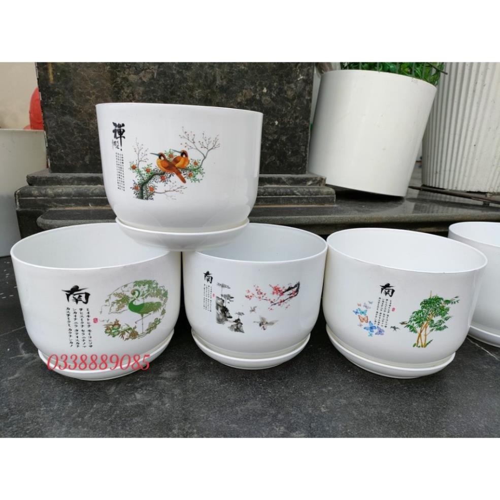 Chậu nhựa kèm đĩa giả sứ cao cấp Bloss Of Sweet trang trí, trồng cây cực xinh