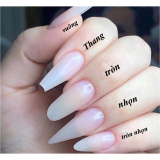 MÓNG UP SẴN , NAIL BOX Thiết kế