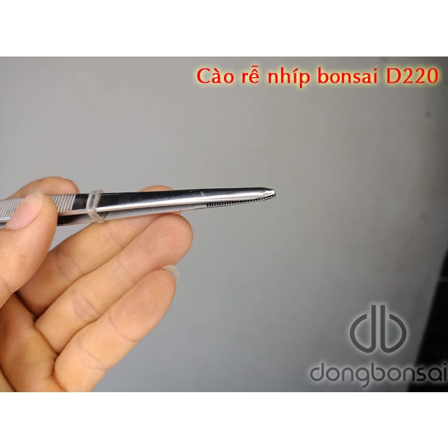 Cào rễ + nhíp Việt Nam Vn.D220