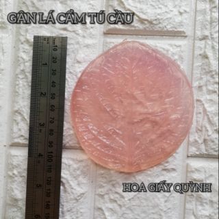 GÂN LÁ CẨM TÚ CẦU