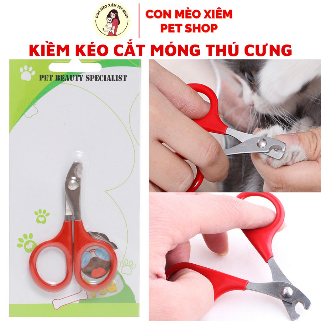 Cắt móng chó mèo kéo cắt móng chân tay, đồ dùng cho thú cưng Con Mèo Xiêm