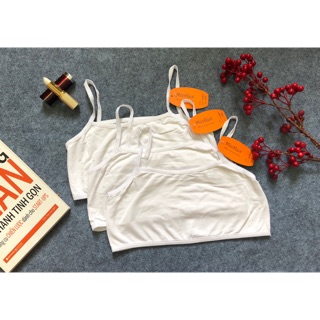 Áo lá ngắn 2 lớp cotton