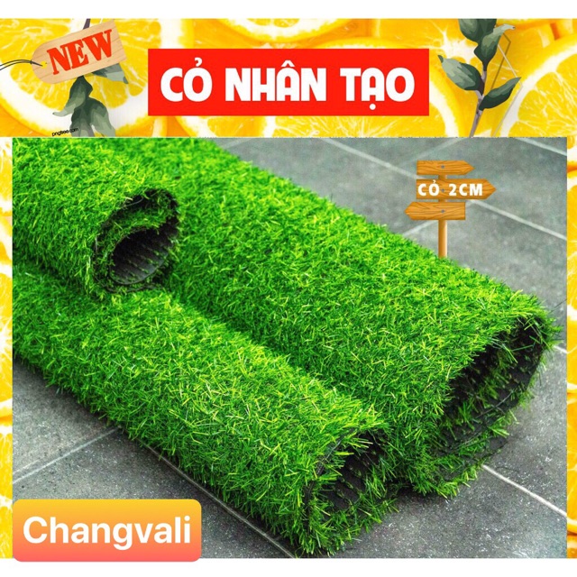 Thảm cỏ nhân tạo khổ 50*50cm - HN