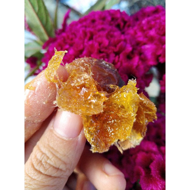 BỒ HÒN TÁCH HẠT LOẠI 1. 1KG_KHUYẾN MÃI LỚN