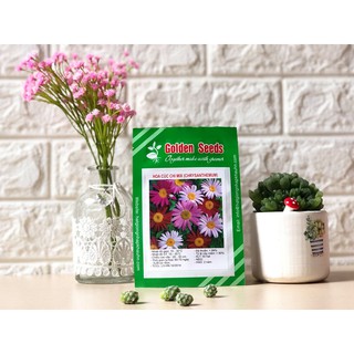 Hạt Giống Cúc chi Mix 50 Hạt/ Gói
