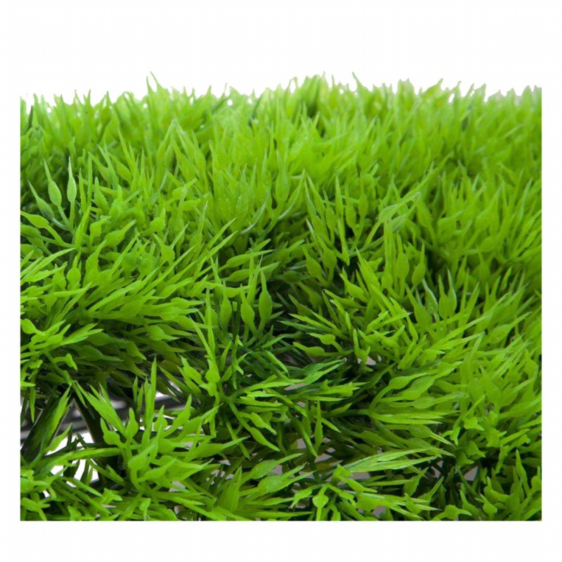 Thảm cỏ nhân tạo trang trí bể cá đẹp mắt