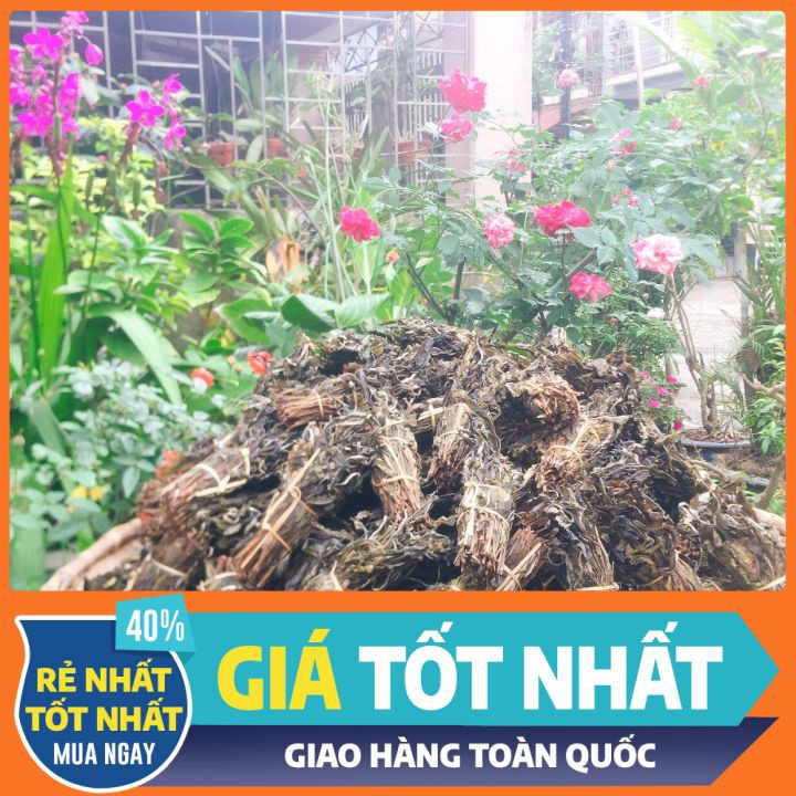 Trà Chít - Trà Cổ thụ Shan Tuyết Hà Giang - Trọng lượng 0.5kg