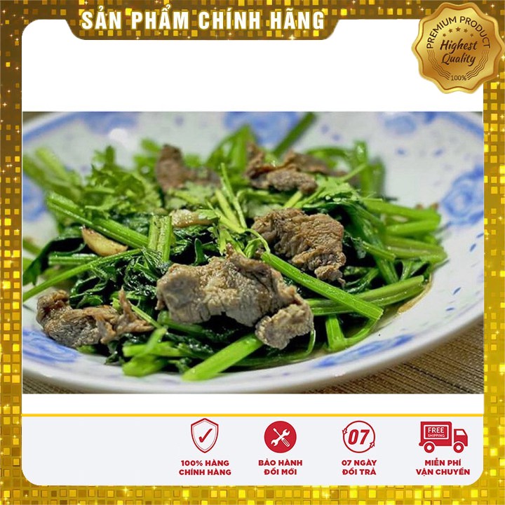 Hạt giống cần tây Mỹ LUCKY SEED