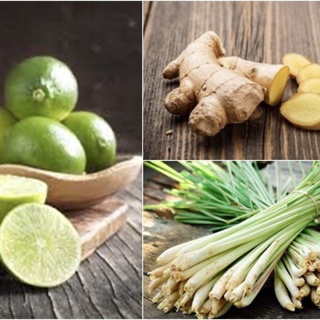 Combo Chanh, Gừng, Sả Giao Nhanh Hoả Tốc 1-2h HCM