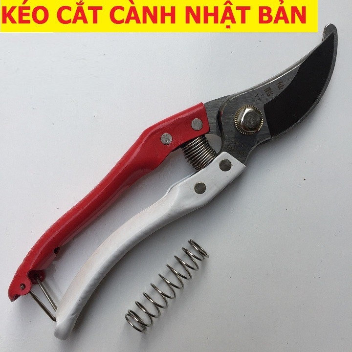 Kéo Cắt Cành Cộng Lực Lưỡi Thép SK5 Nhật Bản KAPUSI, TOP