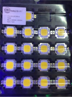 Đèn nhân LED 10W-12V