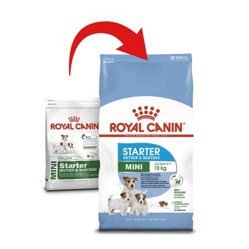 1kg Hạt Royal Canin Mini Starter Mother &amp; Baby dog cho chó mẹ và chó con tập ăn