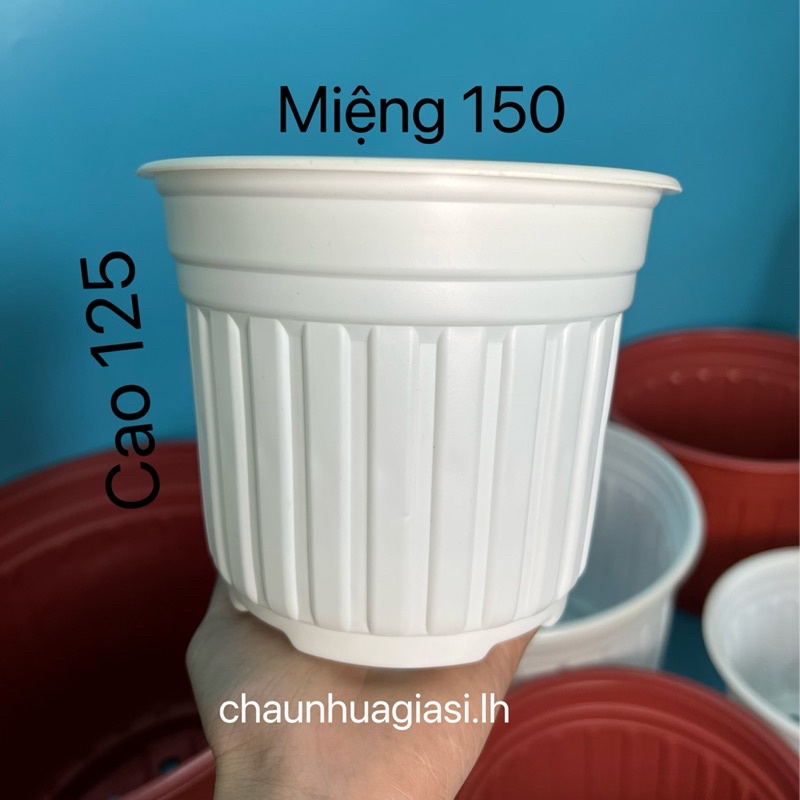 Chậu nhựa mỏng vành cứng trồng cây-Chậu nhựa TTK 150, TTK 180, TTK 200, TTK 230, TTK 260, TTK 280