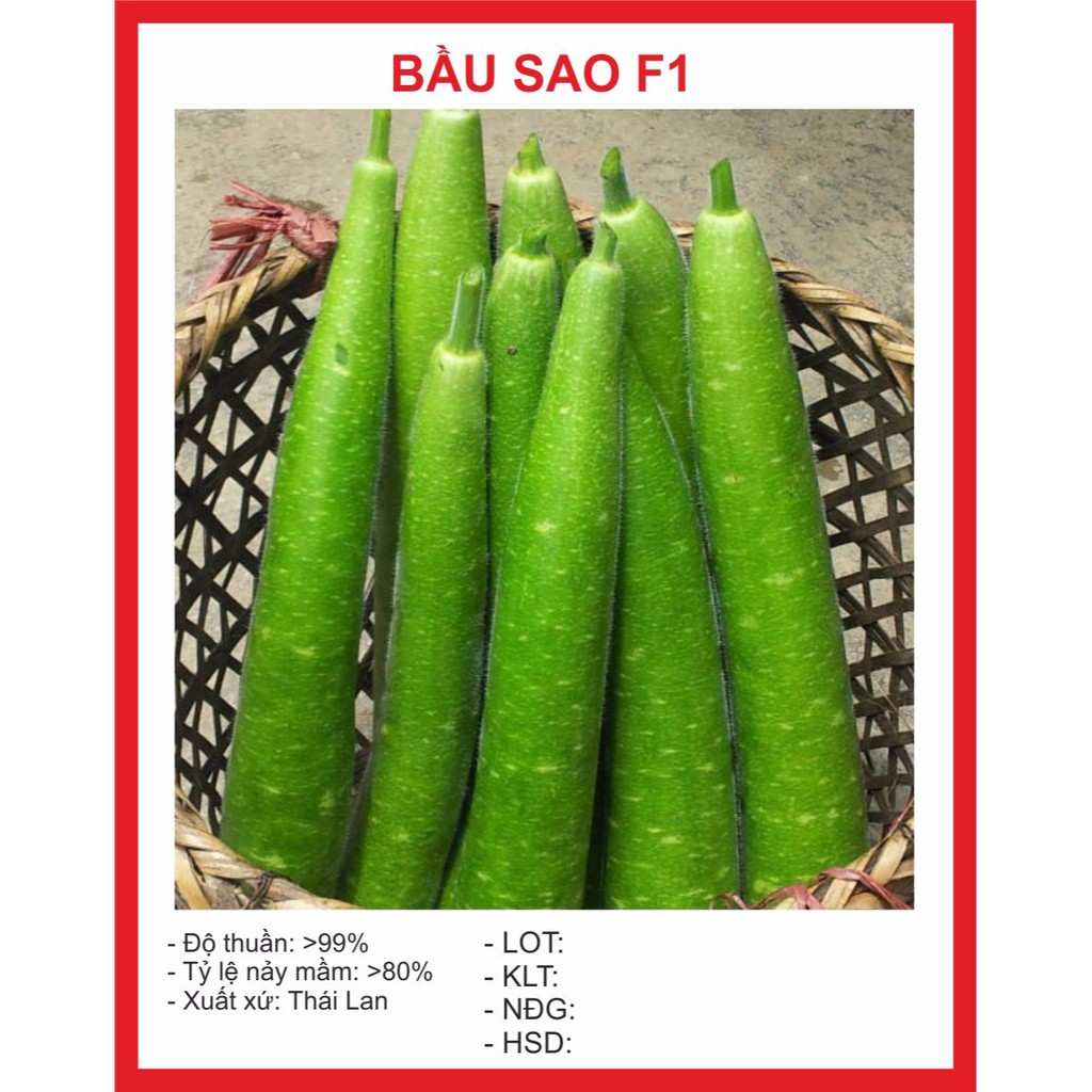 Hạt giống Bầu Sao Dài F1 10 Hạt