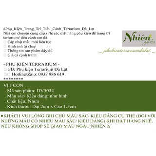 [HÌNH THẬT] VỊT CON - Phụ kiện trang trí tiểu cảnh