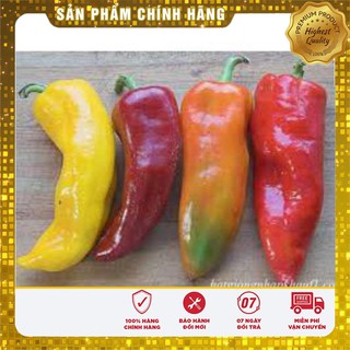 Hạt Giống Ớt Sừng Ngọt