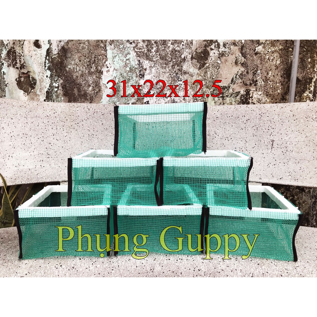 Lồng Đẻ Cho Cá Guppy Và Betta 30x20x12.5 (Lồng Nổi)