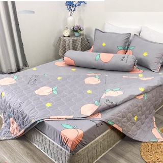 Bộ 5 Món Chăn Ga Gối Coton Poly cao cấp (kèm chăn hè)