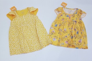 Sỉ váy cánh tiên gymboree