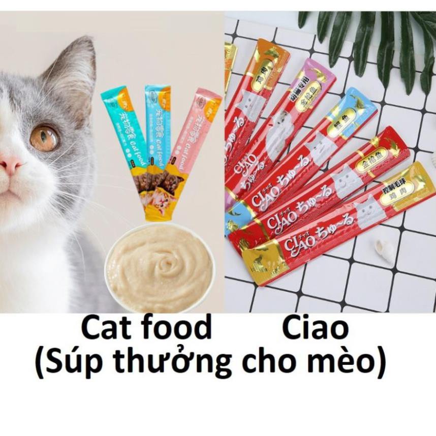 STHA- (Lẻ 1) Pate Thanh Cat food &amp; Ciao dạng Gel cho thức ăn dạng ướt cho mèo đồ ăn vặt mèo snack súp thưởng