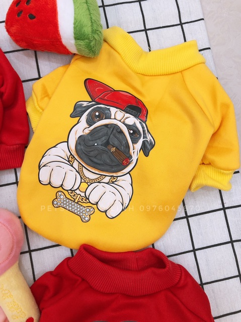 🐶🐱ÁO CHÓ MÈO NỈ CAO CẤP HÌNH BULL PUG🐱🐶 hàng loại 1