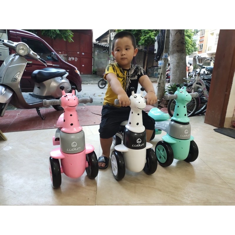 XE CHÒI HƯƠU GẬT GÙ