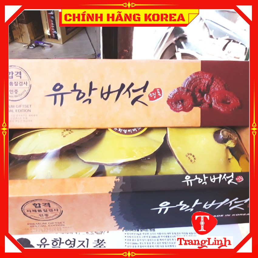 Nấm linh chi hàn quốc chính hãng - Nấm hộp cô gái 1kg giúp thải độc gan, thanh lọc cơ thể - tranglinhkorea