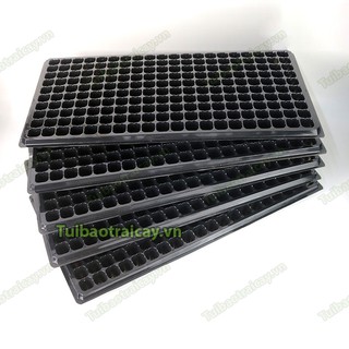 5 Khay gieo hạt 200 lỗ hàng loại 1 - CH11
