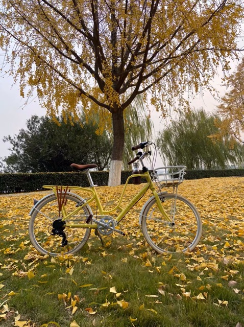 Xe đạp momentum 2019