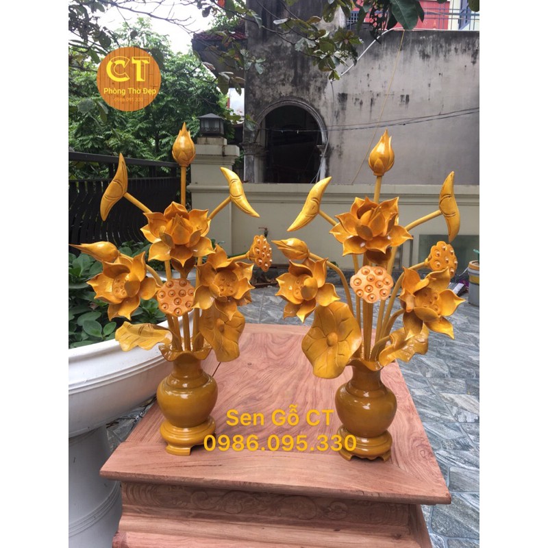 Hoa Sen gỗ | BigBuy360 - bigbuy360.vn