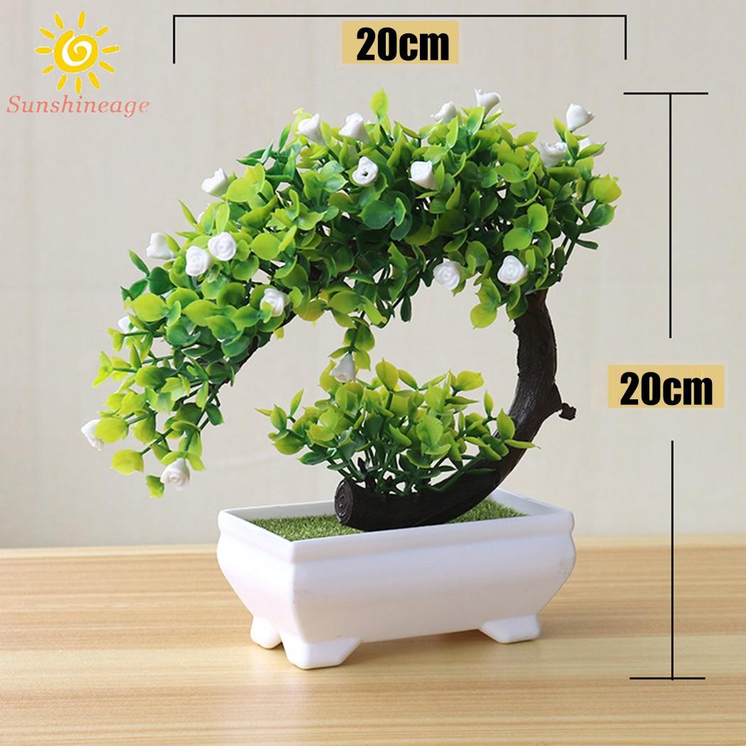 Cây Bonsai Nhân Tạo Trang Trí Văn Phòng