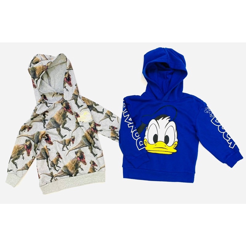 Áo nỉ hoodie HM