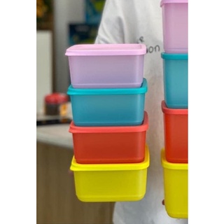 Hộp bảo quản thực phẩm Tupperware Small Summer Fresh