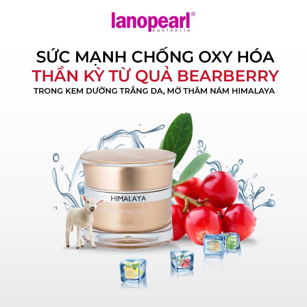 Kem dưỡng trắng và mờ thâm nám tàn nhang Lanopearl Himalaya Herbal Whitening Cream (50ml)