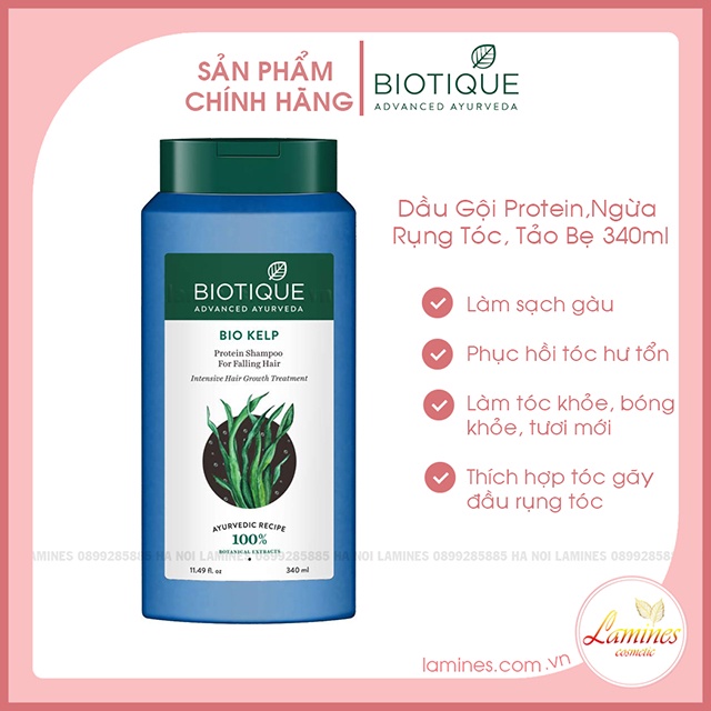 Dầu Gội Protein Tảo Bẹ Cho Tóc Rụng Biotique | Biotique Bio Kelp Protein Shampoo for Falling Hair, 340 ml
