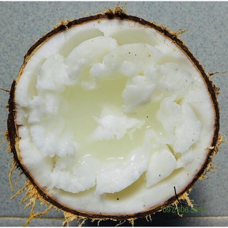 Dừa sáp cầu kè loại đặc biệt trên 1kg đổi trả nếu không sáp ohkhon - đồ ăn vặt