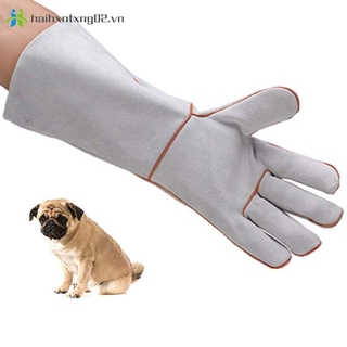 Găng Tay Dày Hai Lớp Chống Cắn / Động Vật Cho Thú Cưng