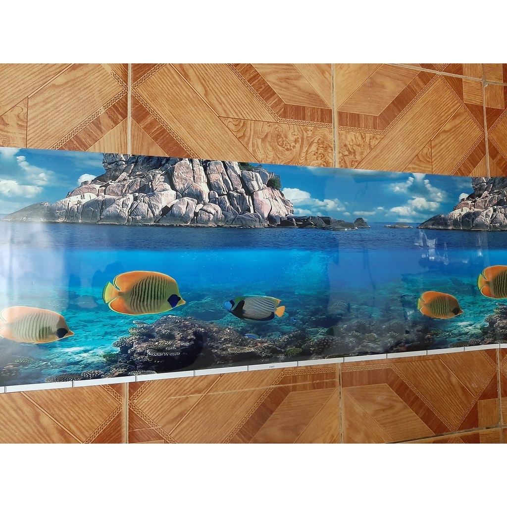 Tranh dán bể cá 1m