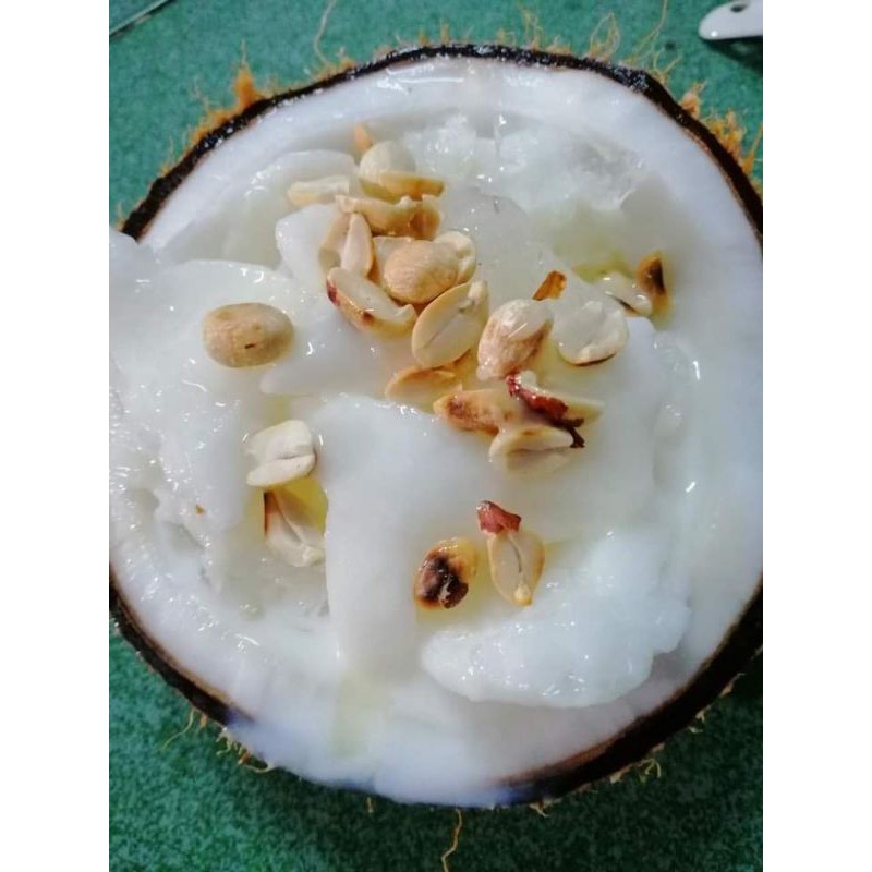 Cây Dừa Sáp