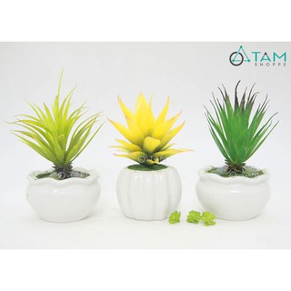 Chậu sen đá giả để bàn số 86 TAN