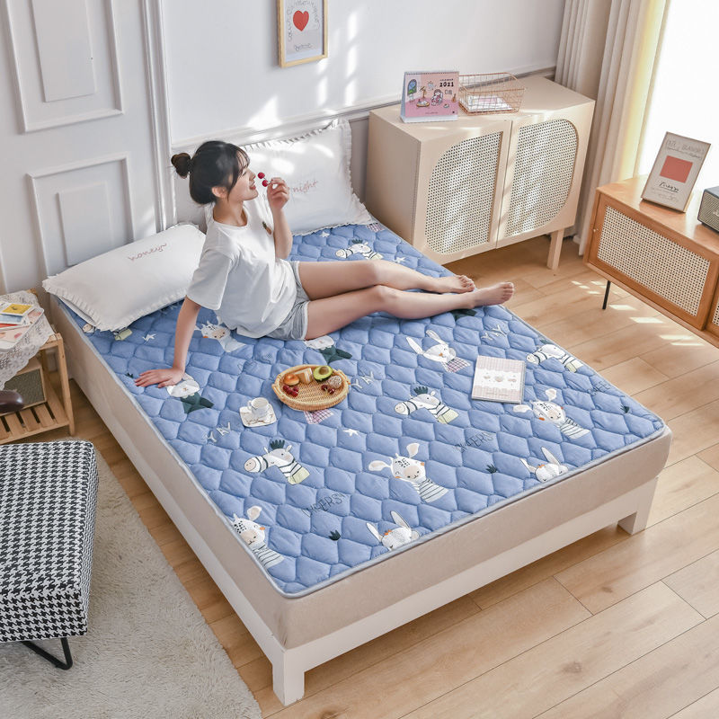Máy đa năng Four Seasons Nệm có thể giặt được Thảm chống trượt Tatami Thảm ngủ Tấm lót sàn phòng ngủ tập thể đơn và đôi