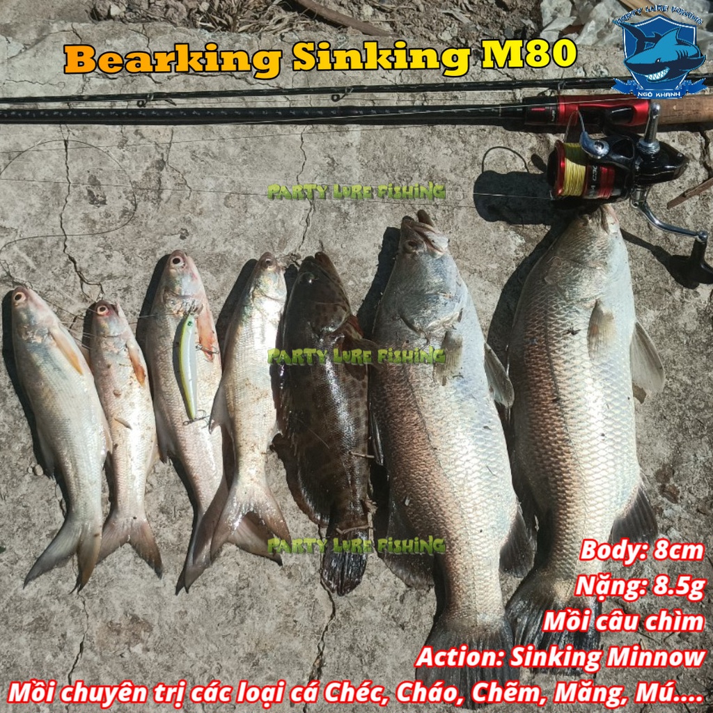 Mồi câu cá Bearking Sinking M80, mồi lure cá chẽm, chéc, măng, mú, cháo, nhồng...
