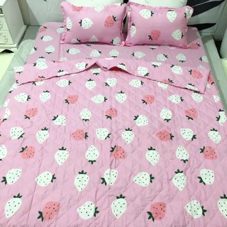 Sét Đủ 5 món ga gối chăn hè trần bông 2 vỏ gối và vỏ gối ôm mẫu DÂU BI HỒNG