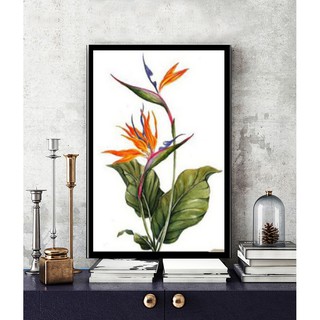 Tranh canvas treo tường hoa thiên điểu khung bản gỗ - 40 x 60 cm