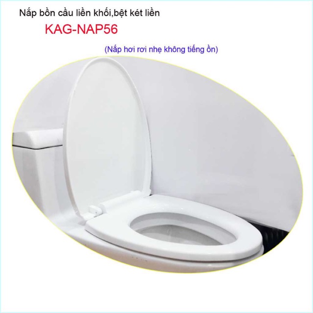 Nắp bồn cầu liền khối
