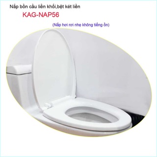 Nắp bồn cầu liền khối