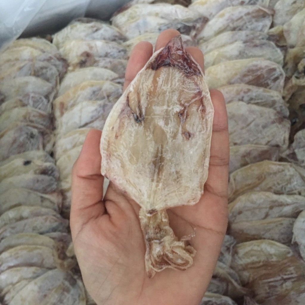 10 con mực khô mini ngon như hình